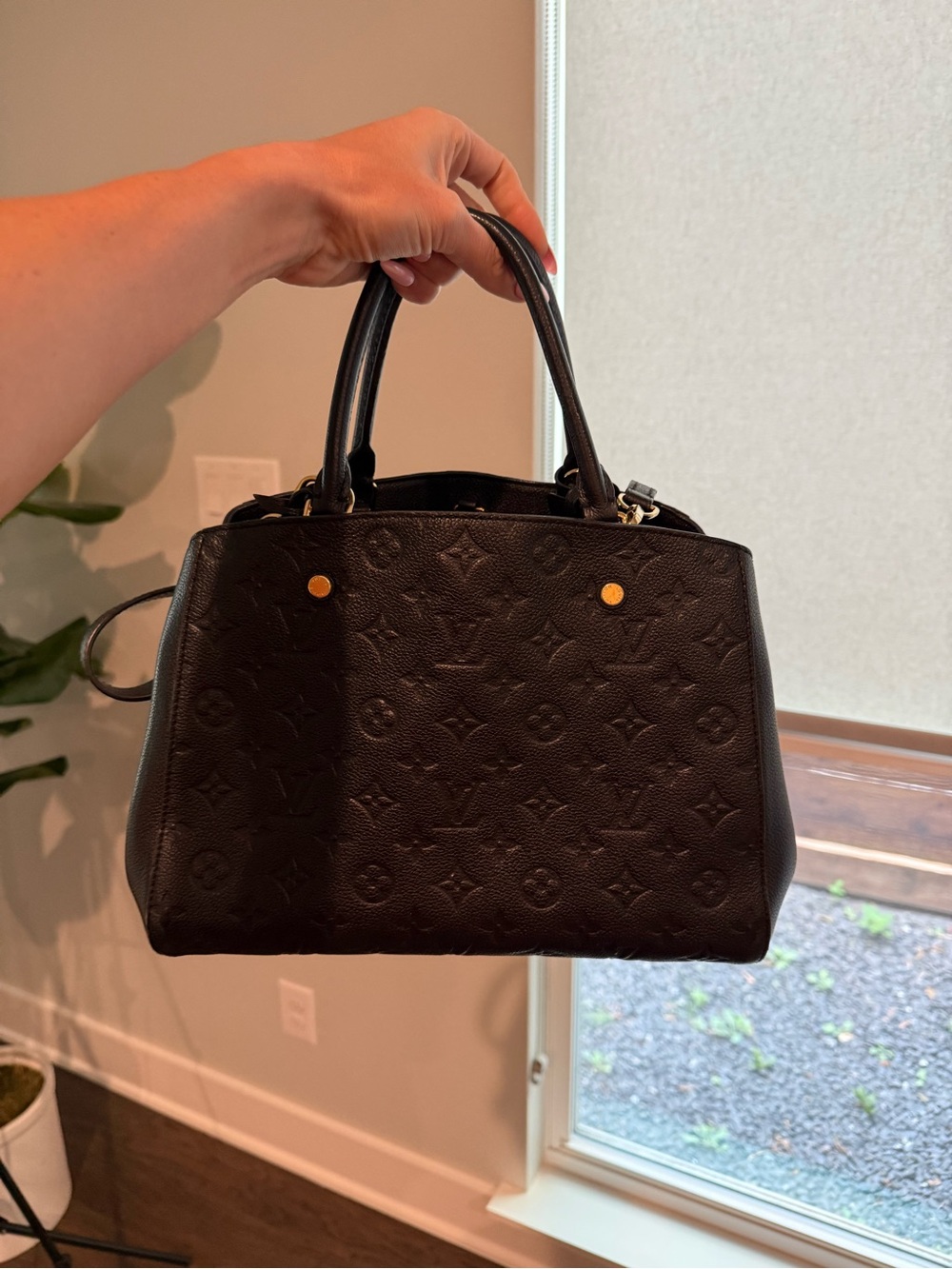 Louie button bag for sale - Picture 2 of 11